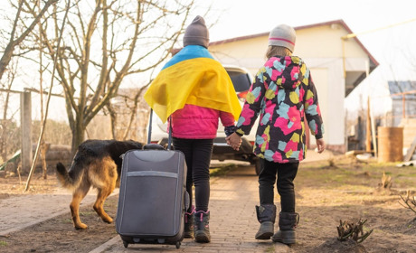 Вдвічі більше за допомогу переселенцям: скільки можуть отримати фастівчани