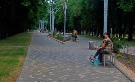 Фото дня: як квітнуть нікопольські троянди на Каштановій алеї