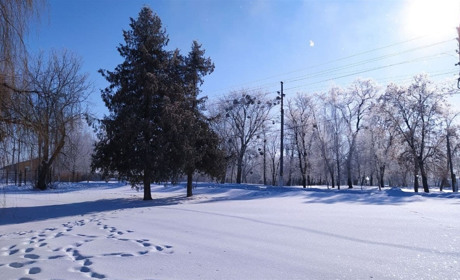 На вівторок на Сумщині синоптики обіцяють зниження температур