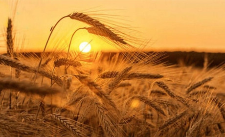 Погода на Білопільщині та в Україні у вихідні та свткові дні