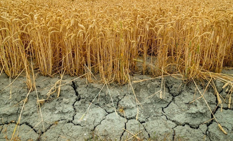 У Каховському районі окупанти ввели режим надзвичайної ситуації