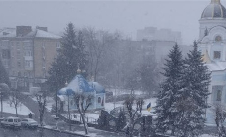 У Звягелі випала найбільша кількість опадів