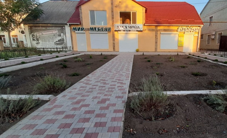 Будуть під наглядом камер: підприємство "Діалог" на місце вкрадених знову посадили декоративні кущі