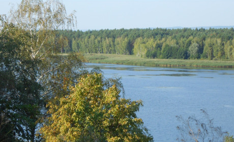 Київське підприємство планує видобувати пісок у затоці Куряче горло