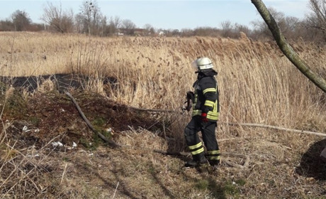 За добу на Переяславщині сталися дві пожежі: горіли суха трава та очерет