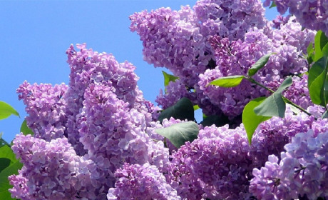 Как провести в Мелитополе выходные дни 18 - 19 мая