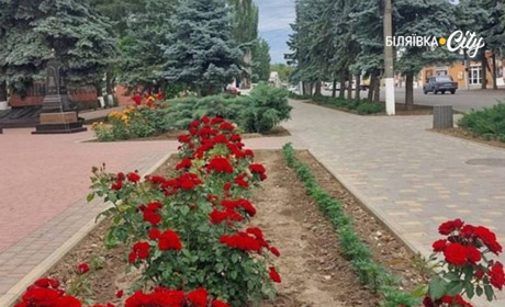 У Біляївській громаді скоро розпочинається двомісячник з благоустрою: які роботи, толоки запланували