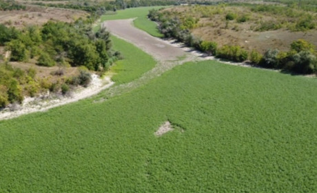 «Пустелі там точно не буде»