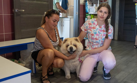 У "Мухтар" переяславці приводять і "простих" тварин, і улюбленців "королівських" порід