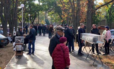 В Измаиле открылась традиционная осенняя выставка-ярмарка домашних животных и птиц