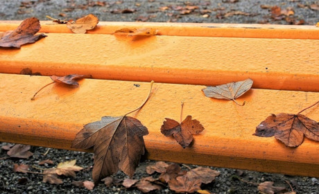 Як підняти собі настрій, зіпсований осінню. Поради психотерапевта 