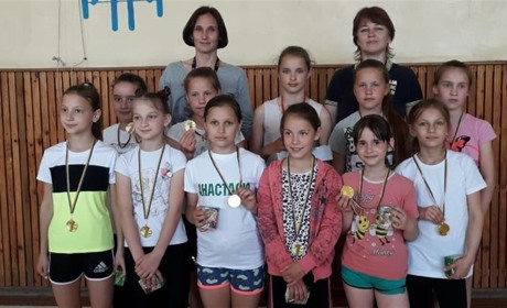 Два перших місця з волейболу – у жмеринчан