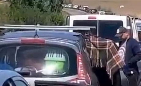 Цивільну колону розстріляли з «Градів»