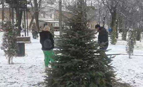 На Алеї героїв в Умані висадили ялину блакитну в пам'ять про загиблого азовця Михайла Ніконця