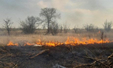Сім раз поміркуй і все одно не пали: штрафи за спалювання трави і підпал лісів збільшено в 18 разів