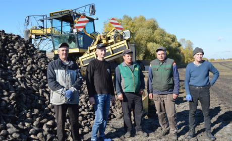У господарстві «Земля Переяславщини» тривають «солодкі» жнива