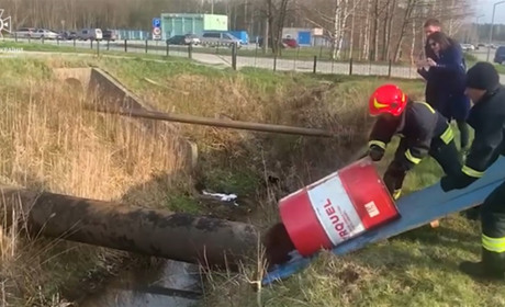 Як у Нетішині надзвичайники рятували бобра, який впав у фонтан (відео)