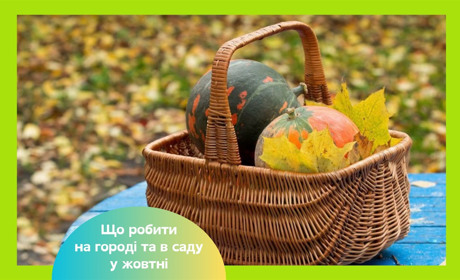 Місячний посівний календар на жовтень 2025 — які роботи запланувати на городі та в саду