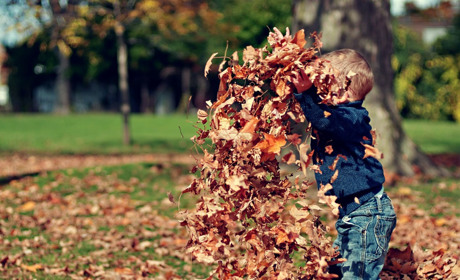 Якої погоди чекати мешканцям Сватівщини у перший тиждень жовтня 2021: прогноз з 4 по 10 жовтня