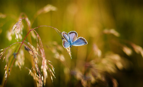 Якої погоди чекати сватівчанам і мешканцям району з 13 по 19 липня 2020: прогноз на тиждень