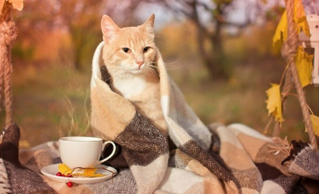 Погода на Сумщині та в Україні у найближчі дні: що прогнозують синоптики