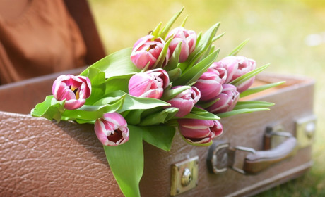 Весняні фотозони та концерт: як у Сватовому вітатимуть жінок з 8 березня