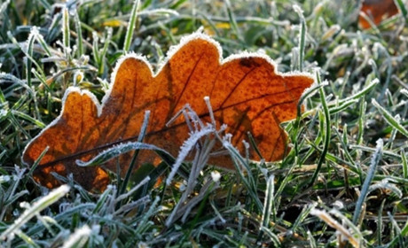 Найближчими ночами синоптики прогнозують заморозки на поверхні ґрунту до мінус трьох