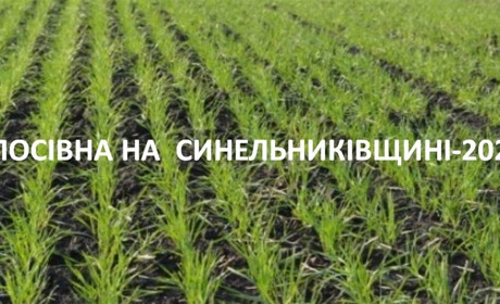 Аграрії Синельниківщини продовжують посівну