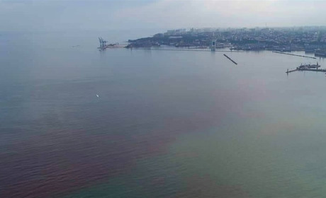 Чорне море в Одесі стало червоним: чи це небезпечно для вашого здоров'я