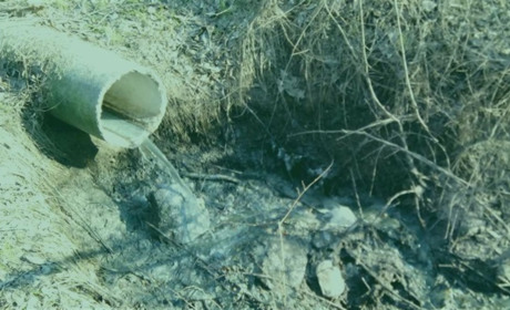 Фекалії з Горностаївки ідуть до нас