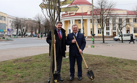 Міський голова та голова Офісу Ради Європи в Україні посадили в центрі Звягеля дерево