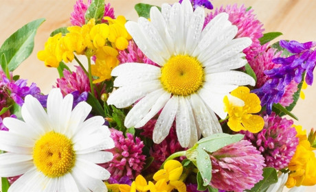 Как провести выходные в Мелитополе и Мелитопольском районе 26-27 мая