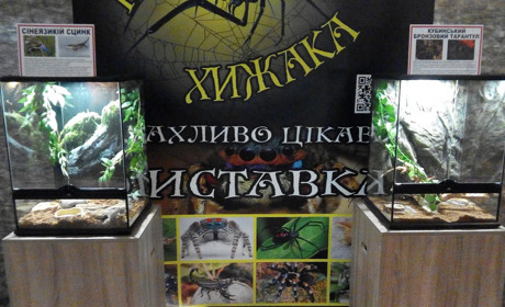 Доторкнись до хижака