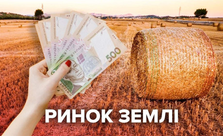 В Україні стартував ринок землі. Що треба знати золотонісцям при купівлі-продажу земельних наділів?