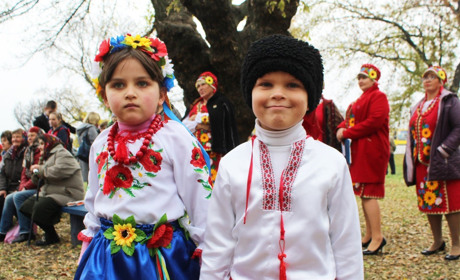 Як День народження Дмитрівки святкували