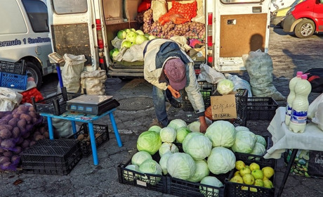 Ціни на ринку "Урожай" у Звягелі: скільки коштують продукти на початку січня