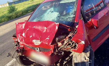 Смертельна ДТП на трасі в Одеському районі: загинув пасажир, водій виїхав на зустрічну смугу