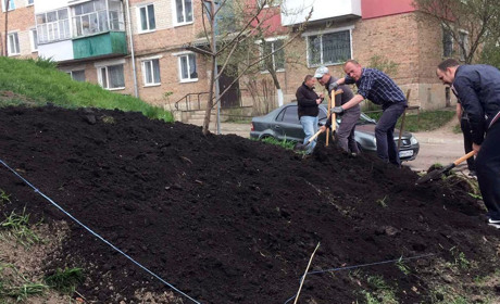 Глухівська влада пропонує висаджувати креативні квітники дизайнерам-любителям. Дізнайтеся деталі