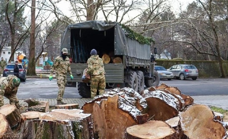 Загарбники вирубують парки в окупованому Криму для обігріву своїх військових на Херсонщині