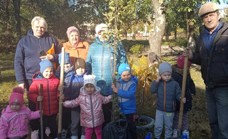 У Смілі на території дитсадку висадили садженці яблунь