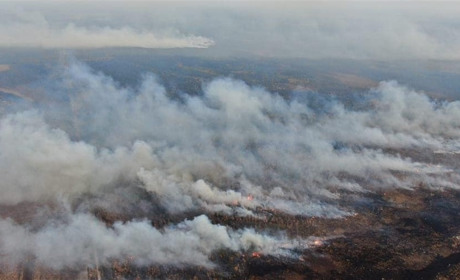 Гасили цілу ніч: на Сарненщині горіло 50 гектарів сухої трави