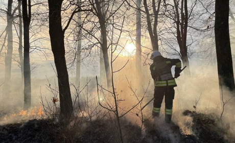 16 пожеж за три місяці. Що загрожує жителям Сумщини за випалювання сухої трави?