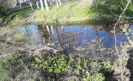 Водні ресурси – не безмежні. Користуймося ними розумно!