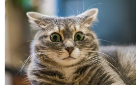 У п‘ятницю в Україну заходить похолодання! МНС і синоптики попереджають про заморозки