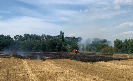 У селі Переяславської громади горіла стерня: ФОТО, ВІДЕО з місця події
