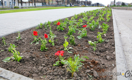Кошти на благоустрій у Золотоніській ОТГ закінчуються, але наміру згортати господарські роботи немає