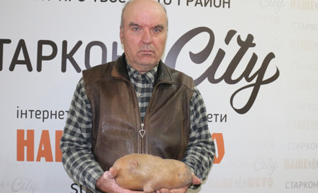 Картопля-рекордсменка виросла у Старокостянтинові