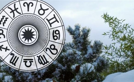 Гороскоп на тиждень з 15 по 21 грудня 2025 року: що зірки нам приготували