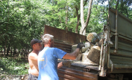 Снести, обрезать, кронировать: что обозначают значки на стволах деревьев мелитопольского парка?