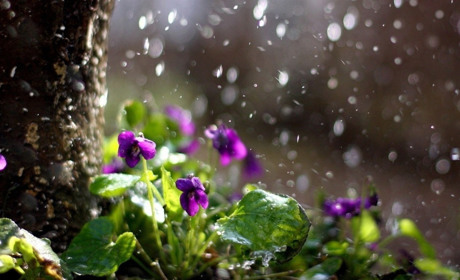 Тиждень почнеться з дощів: прогноз погоди на найближчі дні на Сумщині та в Україні